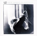 LPU2 / Wide Awake In Amerika / Vinyl
