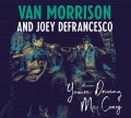 2LPMorrison Van/Defran J. / You're Driving Me Crazy / Vinyl / 2LP