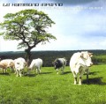 CDLe Hammond Inferno / My First Political Dance Album