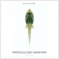 CDProtoculture / Versiform, Pt.1