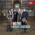 2CDBabork Radek / Mozart:Hornov koncerty / 2CD