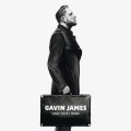 LPJames Gavin / Only Ticket Home / Vinyl