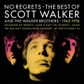 2LPWalker Scott / No Regrets / Best Of / Vinyl / 2LP
