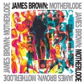 2LPBrown James / Motherlode / Vinyl / 2LP