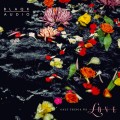 LPBlaqk Audio / Only Things We Love / Picture / Water / Vinyl