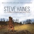 CDHaines, Steve and the Thi / Steve Haines and the Third..