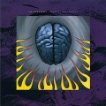 LPTear Garden / Tired Eyes Slowly Burning / Vinyl