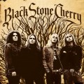 LPBlack Stone Cherry / Black Stone Cherry / Coloured / Gold / Vinyl