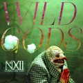 2LPNumber Twelve Looks Like You / Wild Gods / Vinyl / 2LP / Coloured