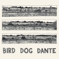 LPParish John / Bird Dog Dante / Vinyl