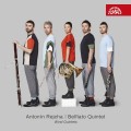 CDRejcha Antonn / Belfiato Quintet