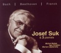 CDSuk Josef / Suk a 3 klavrist