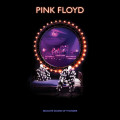 3LPPink Floyd / Delicate Sound of Thunder / Remastered / Vinyl / 3LP