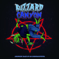 LPBuzzard Canyon / Drunken Tales Of An Underachiever / Vinyl