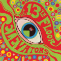 2LP13th Floor Elevators / Psychedelic Sounds Of... / Clrd / Vinyl / 2LP