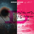 2LPDuran Duran / All You Need Is Now / Vinyl / 2LP