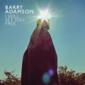 LPAdamson Barry / I Will Set You Free / Vinyl