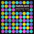 LPGaye Marvin / Greatest Hits Live In '76 / Vinyl