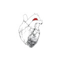 2CD / Swans / Beggar / 2CD