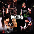 CD / Pantera / Live At Dynamo Open Air 1998