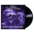 LPVelvet Viper / Nothing Compares To Metal / Vinyl