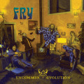 LPUncommon Evolution / Fry / Coloured / Vinyl