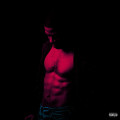 2LP / Kid Cudi / Passion,Pain & Demon Slayin' / Vinyl / 2LP