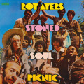 LPAyers Roy / Stoned Soul Picnic / Vinyl