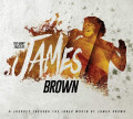 3CDBrown James / Many Faces of James Brown / Tribute / 3CD