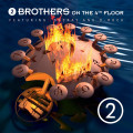2LPTwo Brothers On The 4th Floor / 2 / Coloured / Vinyl / 2LP