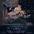 CDRed Velvet / What a Chill Kill / Vol.3 / Bag Version