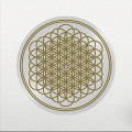 LP / Bring Me The Horizon / Sempiternal / 10th Anniv. / Picture / Vinyl