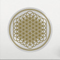 LPBring Me The Horizon / Sempiternal / 10th Anniv. / Picture / Vinyl