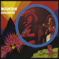 CDMountain / Avalanche