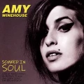 LPWinehouse Amy / Soaked In Soul / Live France 2007 / FM BR. / Vinyl