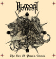 LPAlmost Honest / Hex Of Penn's Woods / Vinyl