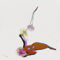 CDFuture Islands / Far Field