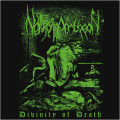LP / Nektromantheon / Divinity Of Death / Vinyl