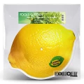 LPFools Garden / Lemon Tree / RSD 2024 / Picture / Vinyl
