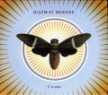 CDHazmat Modine / Cicada