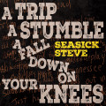 CDSeasick Steve / A Trip A Stumble A Fall Down On Your Knees