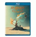 Blu-RayAnderson Jon / Live Perpetual Change / Blu-Ray
