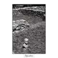 CD / Telma / Anbpqnobopoc / Man-Eater