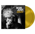 2LPBon Jovi / Bon Jovi 2020 / Vinyl / 2LP