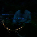 LPHavelka V�clav / Snake Crawling Up a Broken Ladder / Vinyl