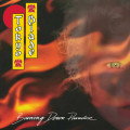 CDTokyo Blade / Burning Down Paradise