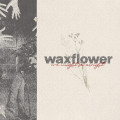 CDWaxflower / We Might Be Alright / EP / Digipack