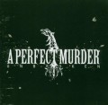CDPerfect Murder / Unbroken