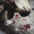 LP / To the Grave / Director's Cuts / Blood Splatter / Vinyl