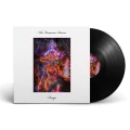 LPDexys / Feminine Divine / Vinyl
